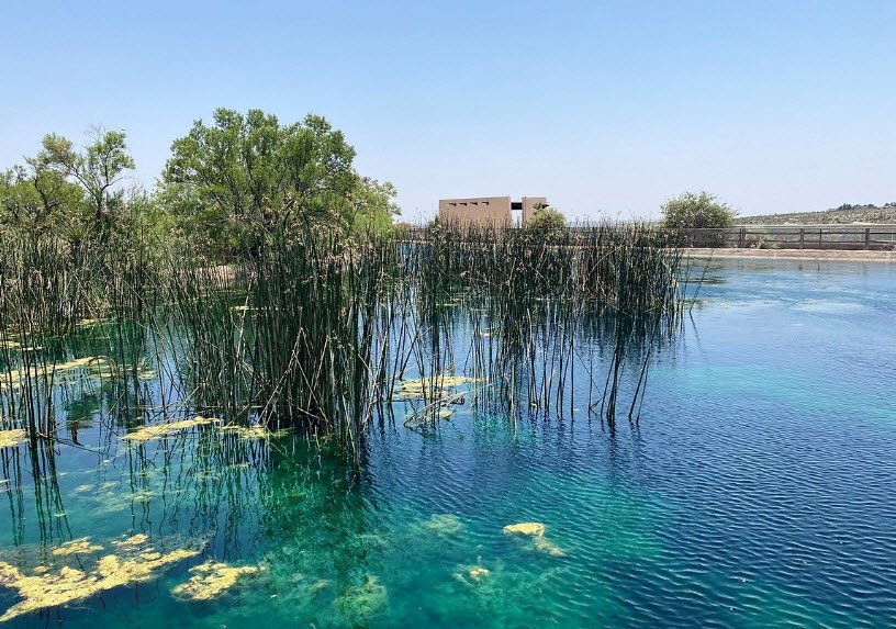 Living Desert Zoo and Gardens State Park, United States